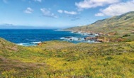 120-1BigSur.jpg