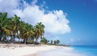 120-1TropicalBreeze.jpg