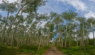 120-2AspenRoad.jpg