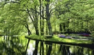 120-3ReflectingPond.jpg