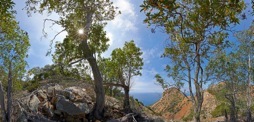 144-1GoatHarborPano.jpg
