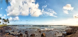 144-1Koloa.jpg