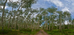 144-2AspenRoad.jpg