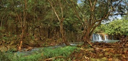 144-2HulelaStream.jpg