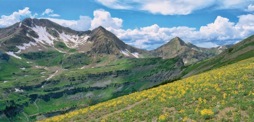 144-2RockyMtnGlacierLillies.jpg