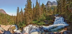 144-2VirginiaCreek.jpg