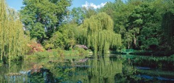 144-3MonetsGarden.jpg