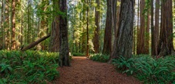 144-3StoutGrove.jpg