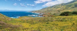180-1BigSur.jpg