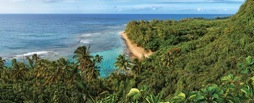 180-1KeeBeach.jpg