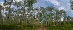 180-2AspenRoad.jpg
