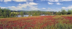 180-2CowpensLake.jpg