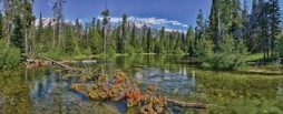180-2PhelpsCreek.jpg
