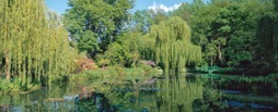 180-3MonetsGarden.jpg