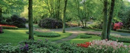 180-3Springtime.jpg