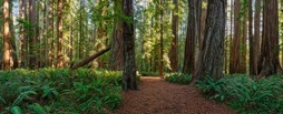 180-3StoutGrove.jpg