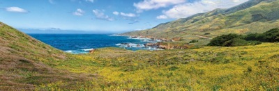 216-1BigSur.jpg