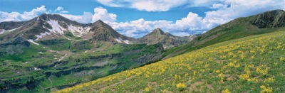 216-2RockyMtnGlacierLillies.jpg