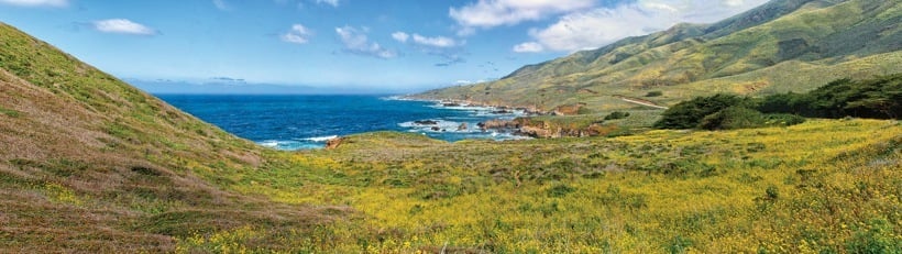 252-1BigSur.jpg