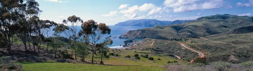 252-1LittleHarbor.jpg