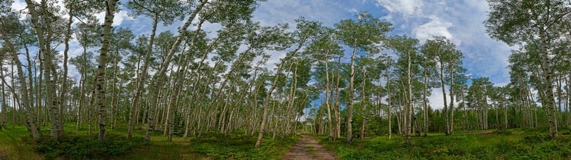 252-2AspenRoad.jpg