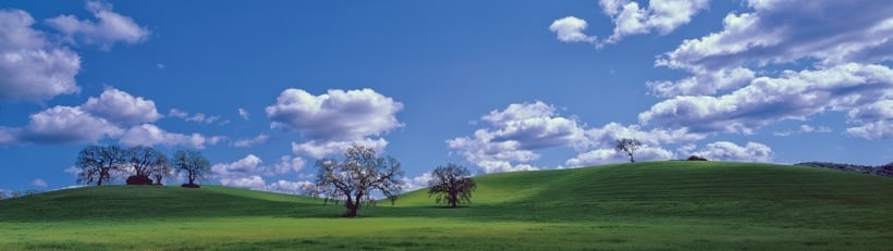 252-2CentralCoast.jpg