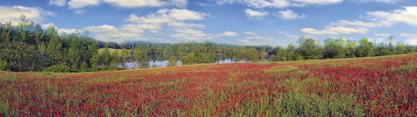 252-2CowpensLake.jpg