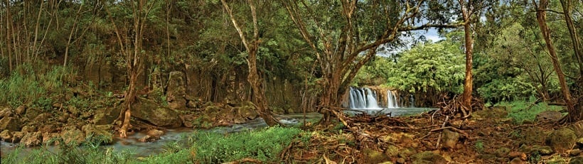 252-2HulelaStream.jpg