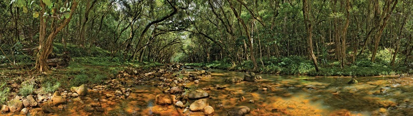 252-2KapaaStream.jpg