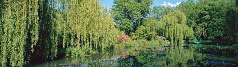 252-3MonetsGarden.jpg
