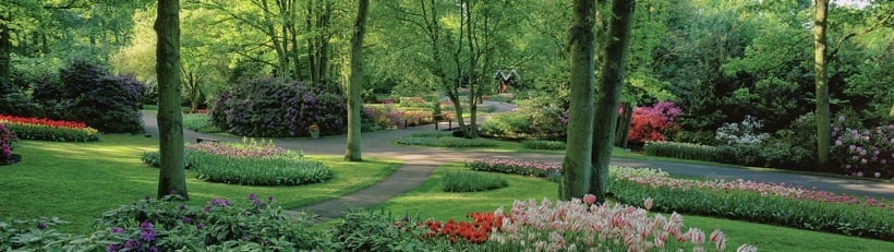 252-3Springtime.jpg