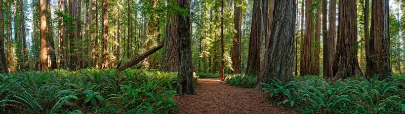 252-3StoutGrove.jpg