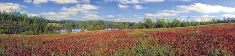 288-2CowpensLake.jpg
