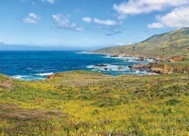 95-1BigSur.jpg