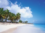 95-1TropicalBreeze.jpg