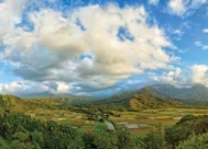 95-2HanaleiValley.jpg