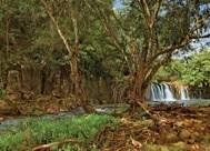 95-2HulelaStream.jpg
