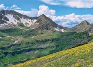 95-2RockyMtnGlacierLillies.jpg