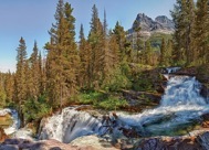 95-2VirginiaCreek.jpg