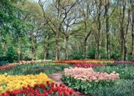 95-3GardenBloom.jpg