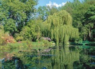 95-3MonetsGarden.jpg