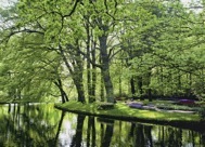 95-3ReflectingPond.jpg