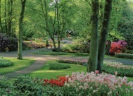 95-3Springtime.jpg